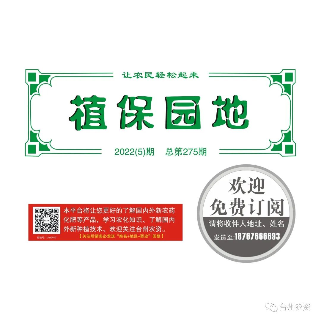 柑橘謝花后病蟲(chóng)害管理思路