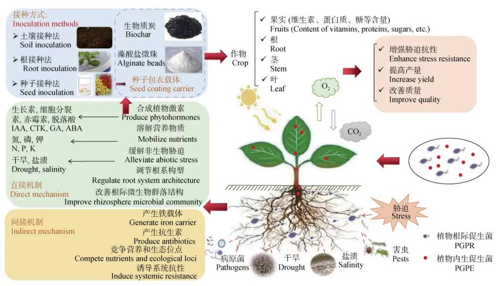 臺州農(nóng)資